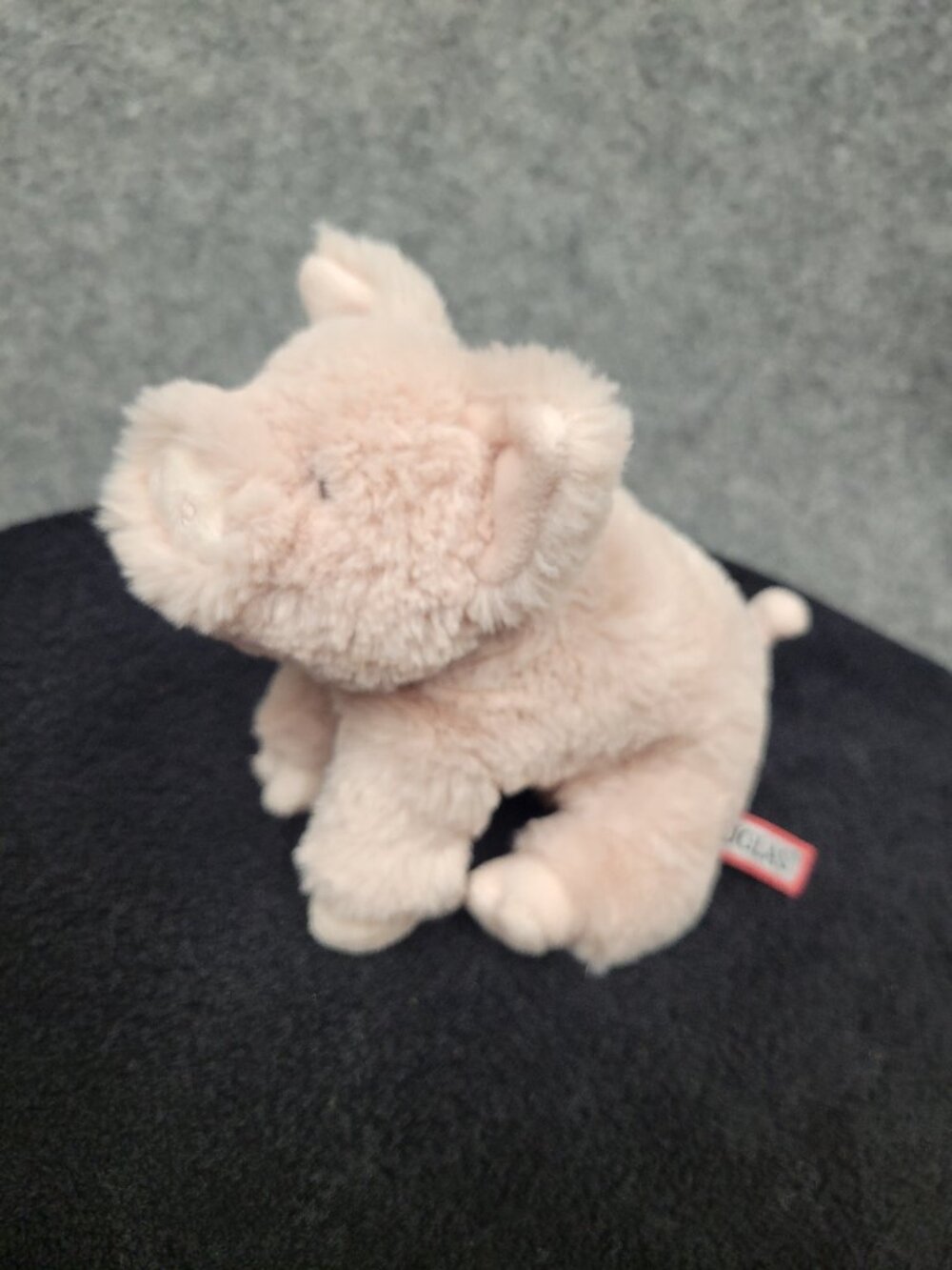 Douglas pig stuffed animal plush plushie toy doll